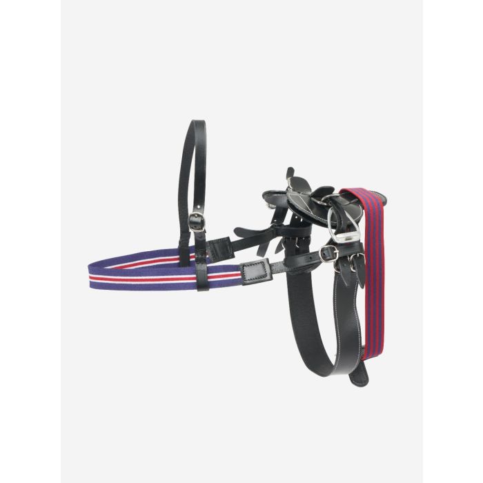 LeMieux Toy Pony Racing Zadel Set bestellen? - Laagste prijs garantie ...